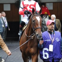 Irad Ortiz Jr.