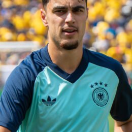 Aleksandar Pavlović (footballer)