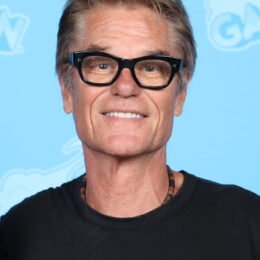 Harry Hamlin