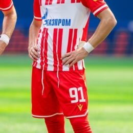Lazar Jovanović (footballer, born 2006)