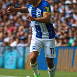 Leandro Trossard