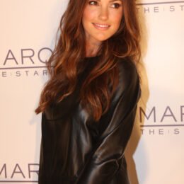 Minka Kelly