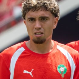 Neil El Aynaoui