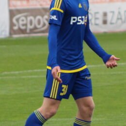 Pavel Šulc