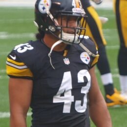 Troy Polamalu