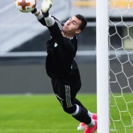 Dominik Greif